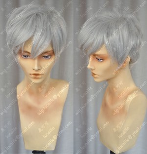 The Prince Style Youth Boy  Silver Grey Short Cosplay Party Wig