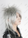 Youth Boy Style Silver Gray Cosplay Party Wig