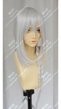 100 sleeping princes & the kingdom of dreams Yume 100 Luke Silvery White 2 Ponytail Style Cosplay Party Wig